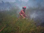 kebakaran-lahan-di-caringin.jpg