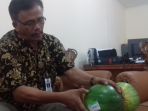kepala-bidang-tertib-niaga-disperindag-kota-bogor-mangahit-sinaga_20180420_171356.jpg