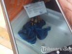 kukang_20180726_141159.jpg