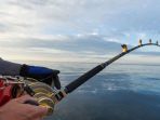 mancing_20180226_175202.jpg