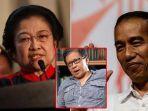 mega-rocky-dan-jokowi.jpg