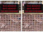 mini-zoo-bogor-15122022.jpg