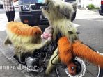 motor-anggora_20170531_193810.jpg