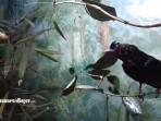 museum-zoologi-bogor-1_20160811_133541.jpg