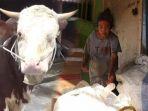 nenek-sahnun-pemulung-yang-sumbangkan-uang-rp-10-juta-untuk-kurban-sapi.jpg