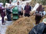 pakan-sapi_20170818_215216.jpg
