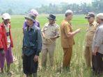 peninjauan-sawah-di-sukamakmur.jpg