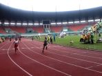 peparda_20181106_152958.jpg