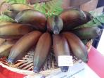 pisang-tongkat-langit-1_20151127_135544.jpg
