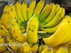 pisang_20170404_172229.jpg