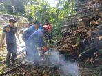 pohon-tumbang-bambu-9124.jpg