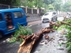 pohon-tumbang-di-jalan-veteran-kota-bogor_20181016_160114.jpg