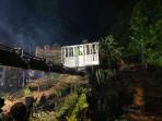 pohon-tumbang-new-malam-ini.jpg