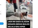 pria-tanpa-pakaian-berguling-guling-di-atas-tumpukan-beras-Bulog.jpg