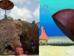 rumah-baru-asal-warga-wonogiri-dan-rumah-patrick-di-film-spongebob.jpg