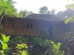 rumah-ngadiyo-yang-jadi-lokasi-syuting-film-kkn-di-desa-penari.jpg
