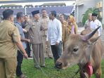 sapi-jokowi_20170829_120005.jpg