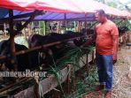 sapi-kurban_20170823_191037.jpg