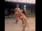 sapi_20180124_115612.jpg