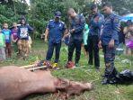 seekor-sapi-tercebur-sumur-jonggol-kabupaten-bogor-minggu-27122020.jpg