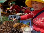 seorang-wanita-yang-menjual-daging-tarantula_20180408_123006.jpg