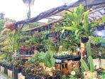 tanaman-di-Ayu-Florist.jpg