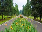 tempat-wisata-bogor-kebun-raya-bogor.jpg