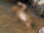 temuan-mayat-bayi-perempuan-di-ciliwung.jpg