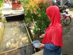 ternak-ikan_20170523_191127.jpg