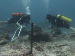 terumbu-karang_20180914_212024.jpg