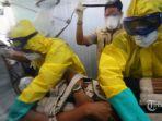 tim-medis-mengevakuasi-seorang-penumpang-kapal-laut-yang-diduga-terinfeksi-virus-corona.jpg