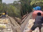 viral-turk-ayam-kejebak-macet.jpg