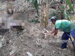 warga-menggali-mayat-korban-banjir-di-jasingan-bogor.jpg