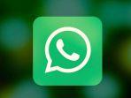 whatsap-databease.jpg