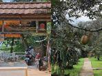 wisata-akhir-pekan-di-bogor.jpg