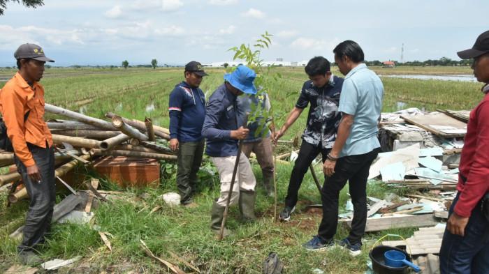 Penanaman Pohon di Playangan–Bojong Negara Cirebon Jadi Awal Penataan Wilayah