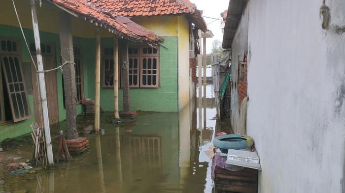 Cirebon Masuk Zona Merah Bencana, BPBD: Losari Hampir Tiap Hari Dilanda Banjir Rob