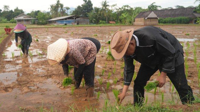 Ini Aktivitas Cagub Jabar, Dedi Mulyadi Setelah Unggul Versi Hasil Hitung Cepat