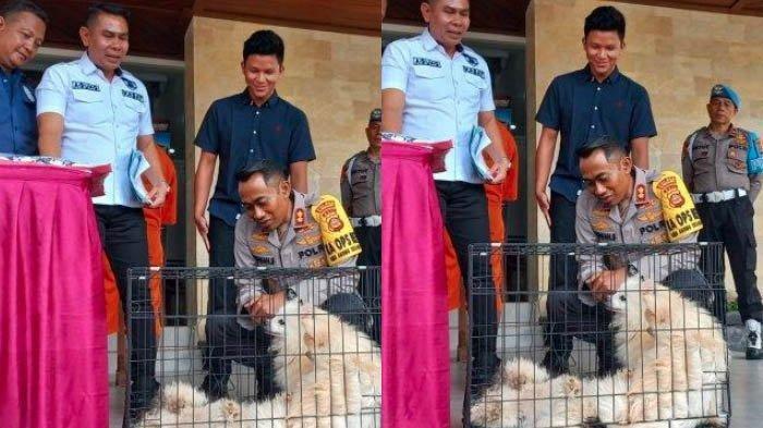 Demi Anjing dan Handphone, Siswa SMP Nekat Curi Uang RP 127 Juta Milik Pamannya di Lemari