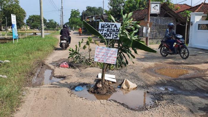 JALAN RUSAK - Sejumlah pengendara saat melintasi ruas jalan rusak yang ditanami pohon pisang hingga mangga di Desa Gadingan, Kecamatan Sliyeg, Kabupaten Indramayu, Selasa (31/3/2026)