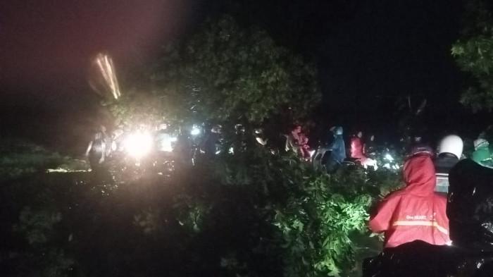Hujan Deras Disertai Angin Kencang Sebabkan Pohon Tumbang di Ligung Majalengka, Begini Kondisinya