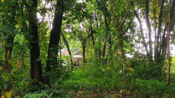 Pegi Ditangkap di Bandung, Rumah Neneknya di Cirebon Dikepung Polisi, Warga Tak Boleh Mendekat