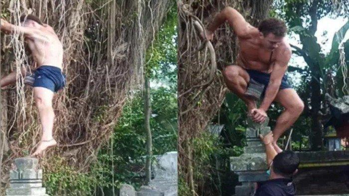 GEGER, Bule Ini Nekat Panjat Pohon Suci di Bali Demi Konten, Ngaku Hobi & Tak Ada yang Larang