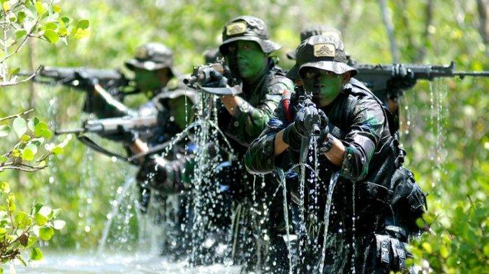 Ini Kehebatan 3 Pasukan TNI yang Diterjunkan Buru Kelompok MIT Ali Kalora di Sigi Sulawesi Tengah