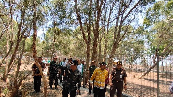 Taman Kehati Jadi Ikon Wisata Baru di Indramayu, Cocok Banget Nih Buat Wisata Edukasi di Akhir Pekan