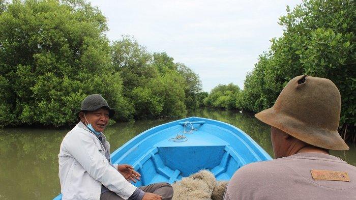 Surga di Hutan Mangrove Indramayu, Pemandangannya Eksotis, Bisa Burung Burung Terbang di Atas Kepala