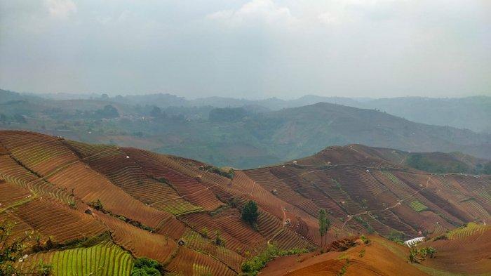 Keindahan Terasering Panyaweuyan Tak Terlihat di Akhir Tahun Ini, Gersang dan Tak Hijau