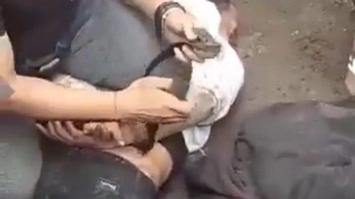 Viral di Medsos, Ini Kronologi 2 Maling Motor Kepergok Warga di Majalengka, Tangannya Diikat