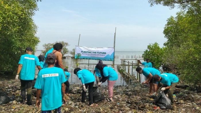 Mengintip Aksi Ratusan Warga Kota Cirebon Bersihkan Pantai Kesunean Selatan, Tanam 2.000 Mangrove