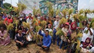 Bule-Ikut-Panen-Raya.jpg